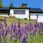 Alchymista Mining House Spania Dolina