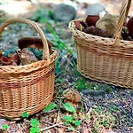Alchymista Mining House * Spania Dolina