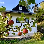 Holiday home Alchymista Mining House Spania Dolina