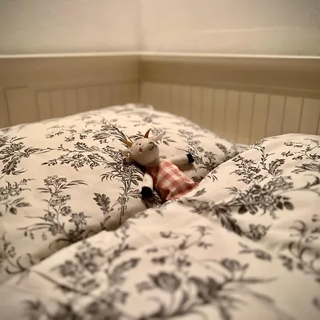 Alchymista Mining House Сasa de vacaciones