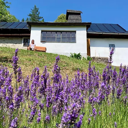 Alchymista Mining House Špania Dolina