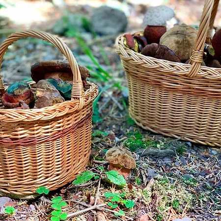 Alchymista Mining House * Špania Dolina