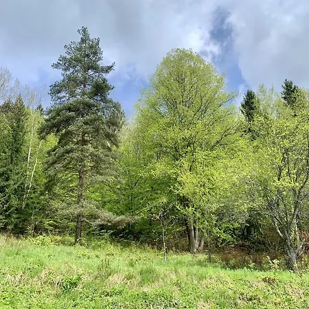 Alchymista Mining House Сasa de vacaciones *