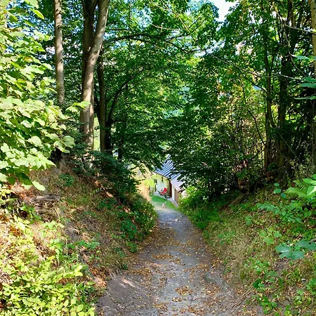 Сasa de vacaciones Alchymista Mining House *