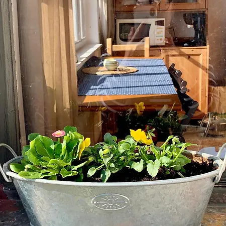 Alchymista Mining House Špania Dolina