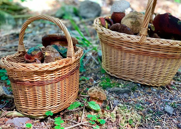 Alchymista Mining House * Špania Dolina