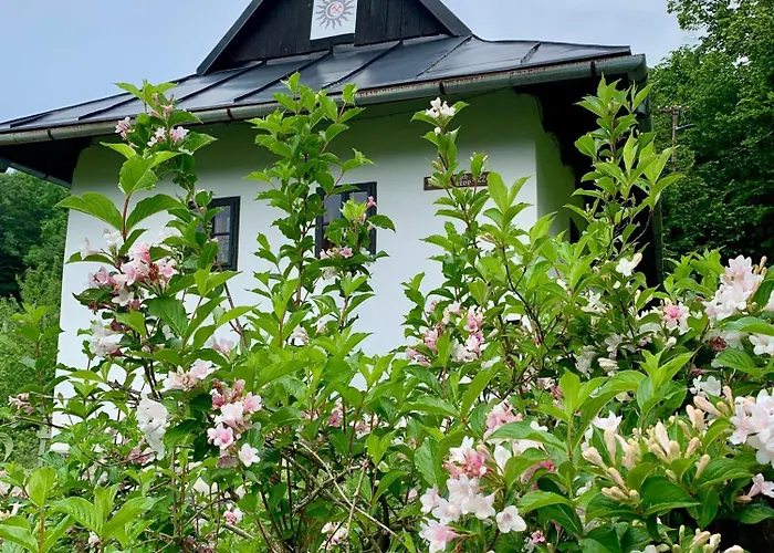 Alchymista Mining House *